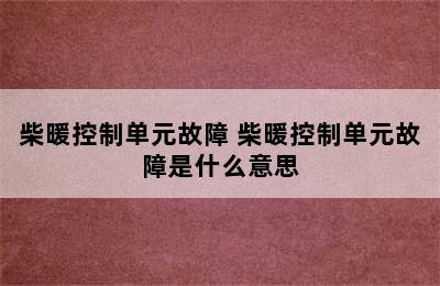 柴暖控制单元故障 柴暖控制单元故障是什么意思